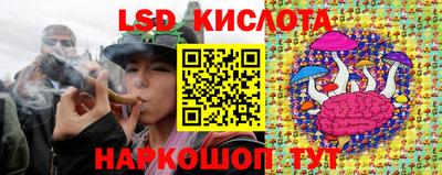 эйфоретик Берёзовский