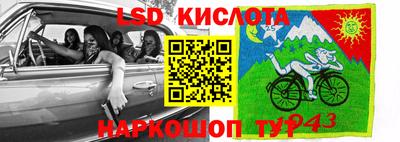 эйфоретик Берёзовский
