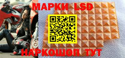 эйфоретик Берёзовский