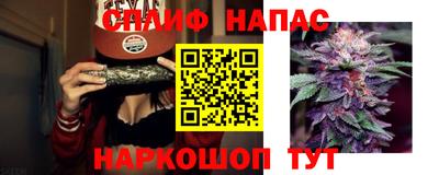 мдпв Беслан